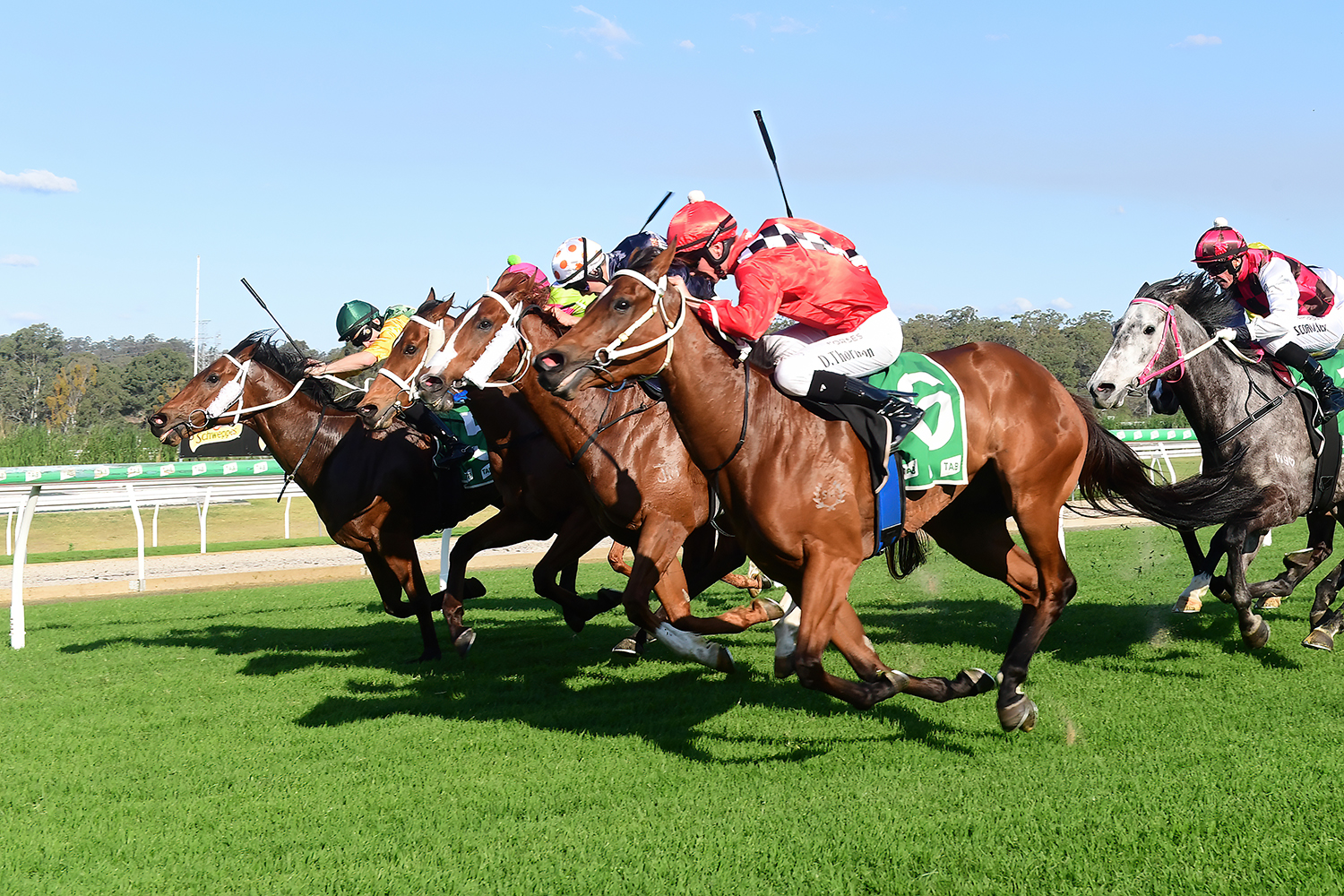 Ipswich Preview and Selections 27 September 2023